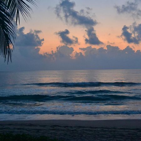 Casa Faro Bed & Breakfast Troncones Bagian luar foto